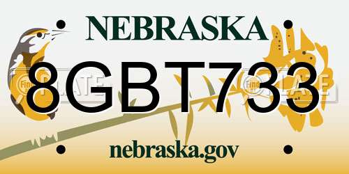 8GBT733 Nebraska License Plate