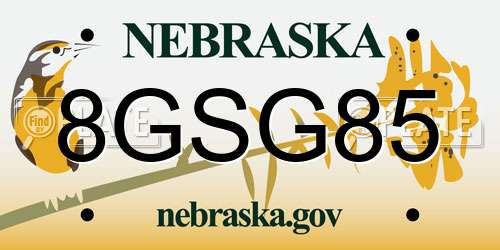 8GSG85 Nebraska License Plate