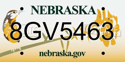 8GV5463 Nebraska License Plate
