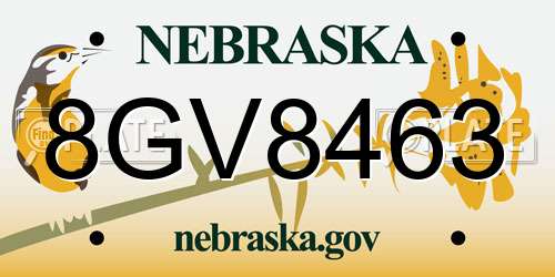 8GV8463 Nebraska License Plate