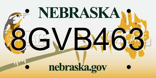 8GVB463 Nebraska License Plate