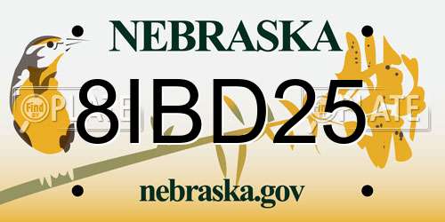 8IBD25 Nebraska License Plate
