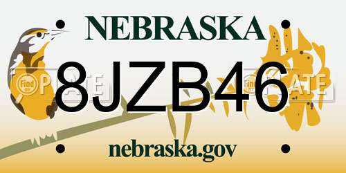 8JZB46 Nebraska License Plate