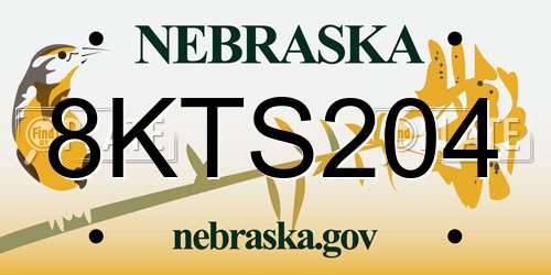 8KTS204 Nebraska License Plate