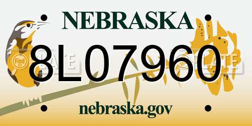 8L07960 Nebraska License Plate