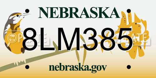 8LM385 Nebraska License Plate