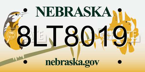 8LT8019 Nebraska License Plate