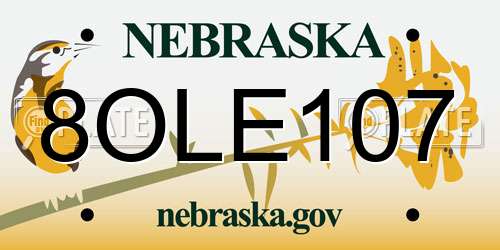 8OLE107 Nebraska License Plate