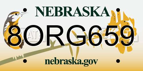 8ORG659 Nebraska License Plate