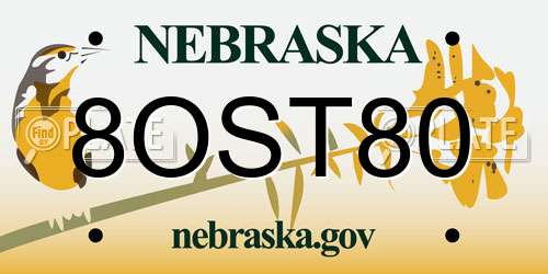 8OST80 Nebraska License Plate
