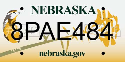 8PAE484 Nebraska License Plate