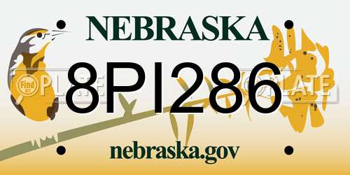 8PI286 Nebraska License Plate