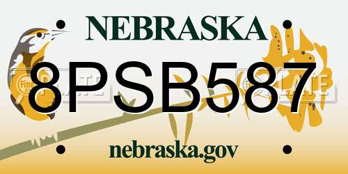 8PSB587 Nebraska License Plate