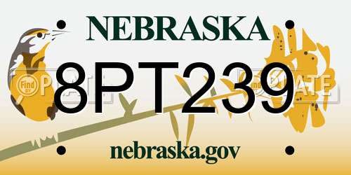 8PT239 Nebraska License Plate