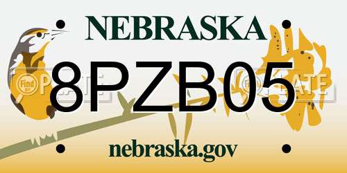 8PZB05 Nebraska License Plate