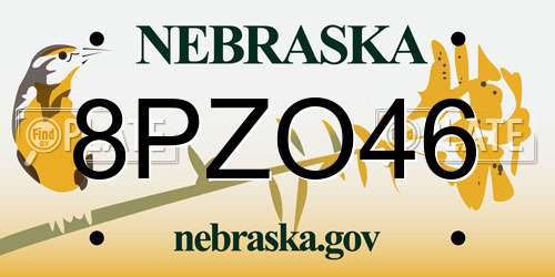 8PZO46 Nebraska License Plate