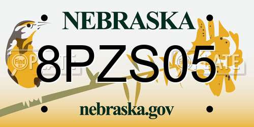 8PZS05 Nebraska License Plate