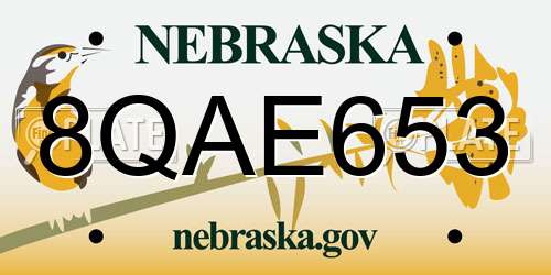 8QAE653 Nebraska License Plate