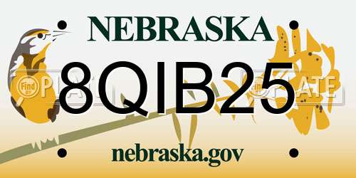 8QIB25 Nebraska License Plate