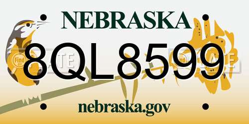 8QL8599 Nebraska License Plate