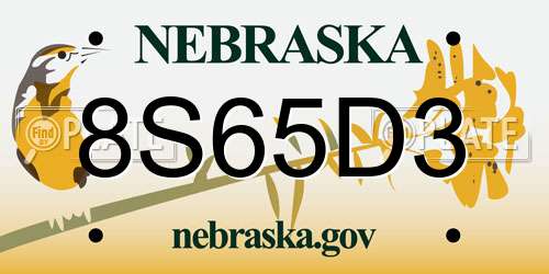8S65D3 Nebraska License Plate