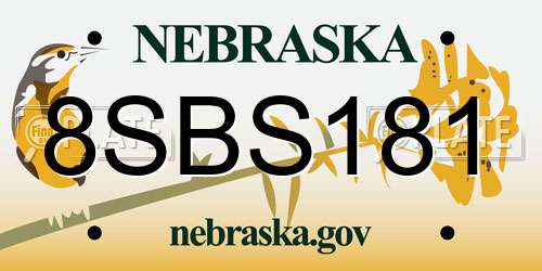 8SBS181 Nebraska License Plate
