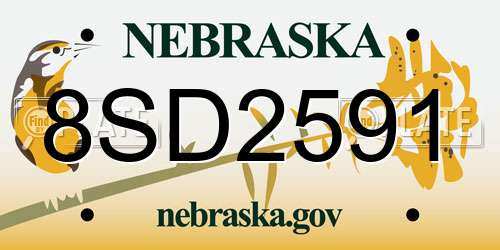 8SD2591 Nebraska License Plate