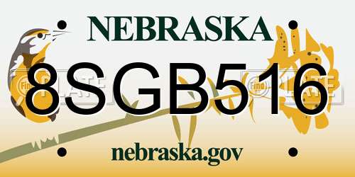 8SGB516 Nebraska License Plate
