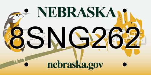 8SNG262 Nebraska License Plate
