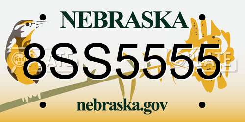 8SS5555 Nebraska License Plate