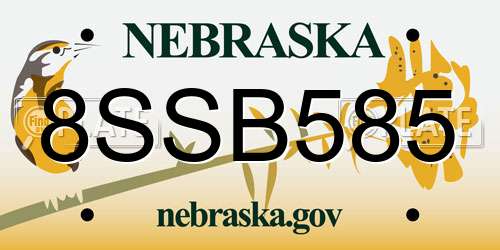 8SSB585 Nebraska License Plate