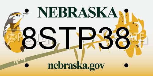 8STP38 Nebraska License Plate