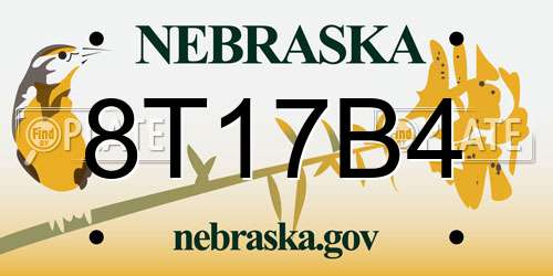 8T17B4 Nebraska License Plate