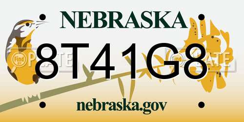 8T41G8 Nebraska License Plate