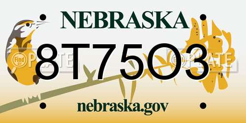 8T75O3 Nebraska License Plate