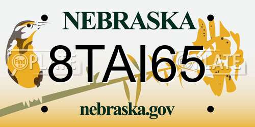 8TAI65 Nebraska License Plate