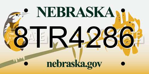 8TR4286 Nebraska License Plate