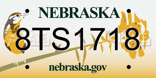 8TS1718 Nebraska License Plate