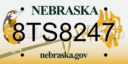 8TS8247 Nebraska License Plate