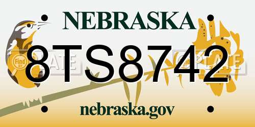 8TS8742 Nebraska License Plate