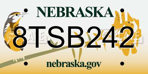 8TSB242 Nebraska License Plate