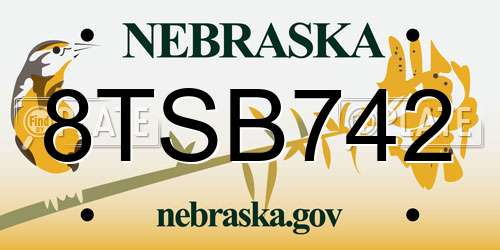 8TSB742 Nebraska License Plate