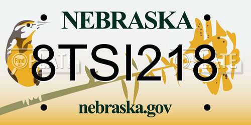 8TSI218 Nebraska License Plate
