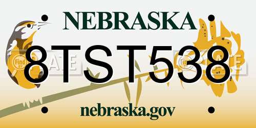 8TST538 Nebraska License Plate