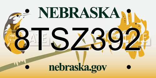 8TSZ392 Nebraska License Plate