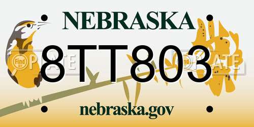 8TT803 Nebraska License Plate