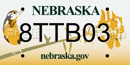 8TTB03 Nebraska License Plate