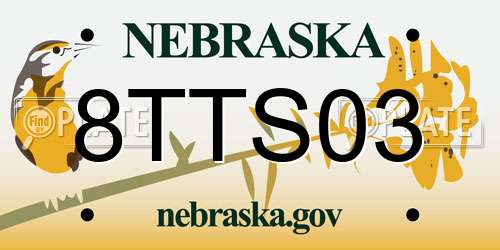 8TTS03 Nebraska License Plate