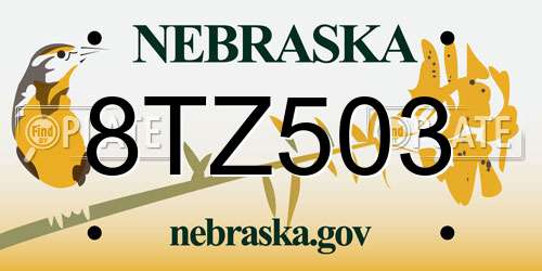 8TZ503 Nebraska License Plate