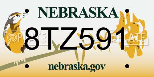 8TZ591 Nebraska License Plate